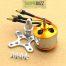 Brushless Motor
