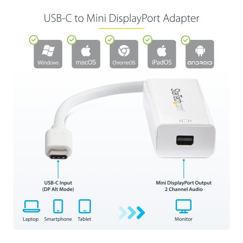 Type C to Mini DP Adapter