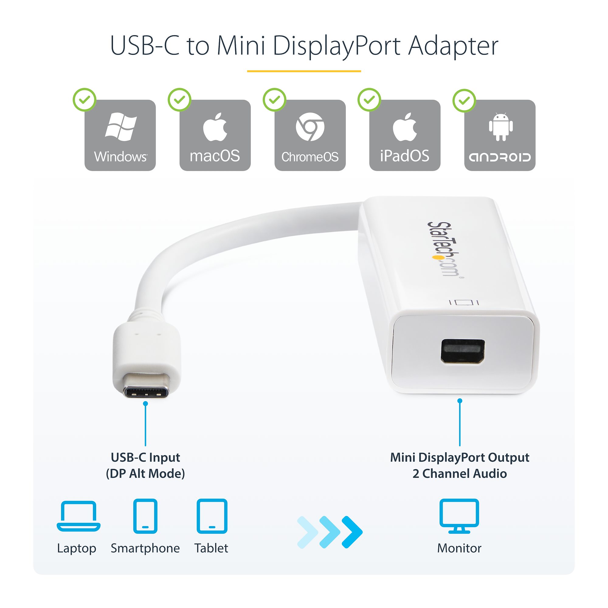 Type C to Mini DP Adapter Type C to Mini DP Adapter